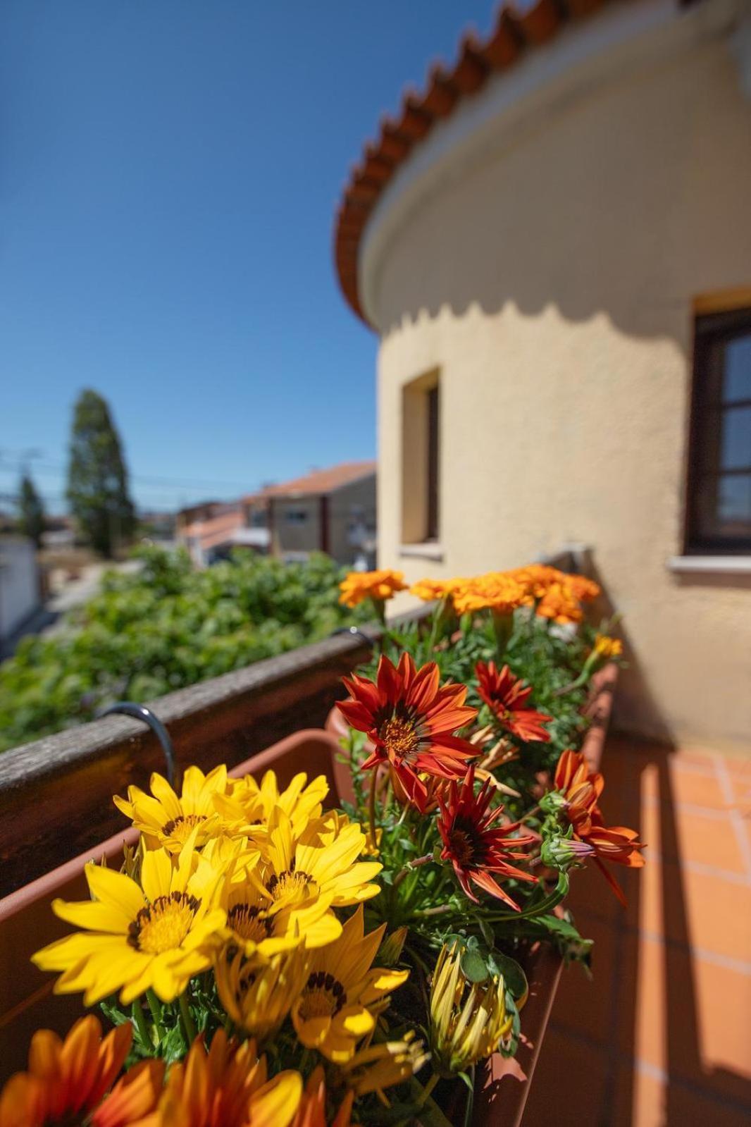 Villa Salgado Gafanha da Nazaré Екстериор снимка